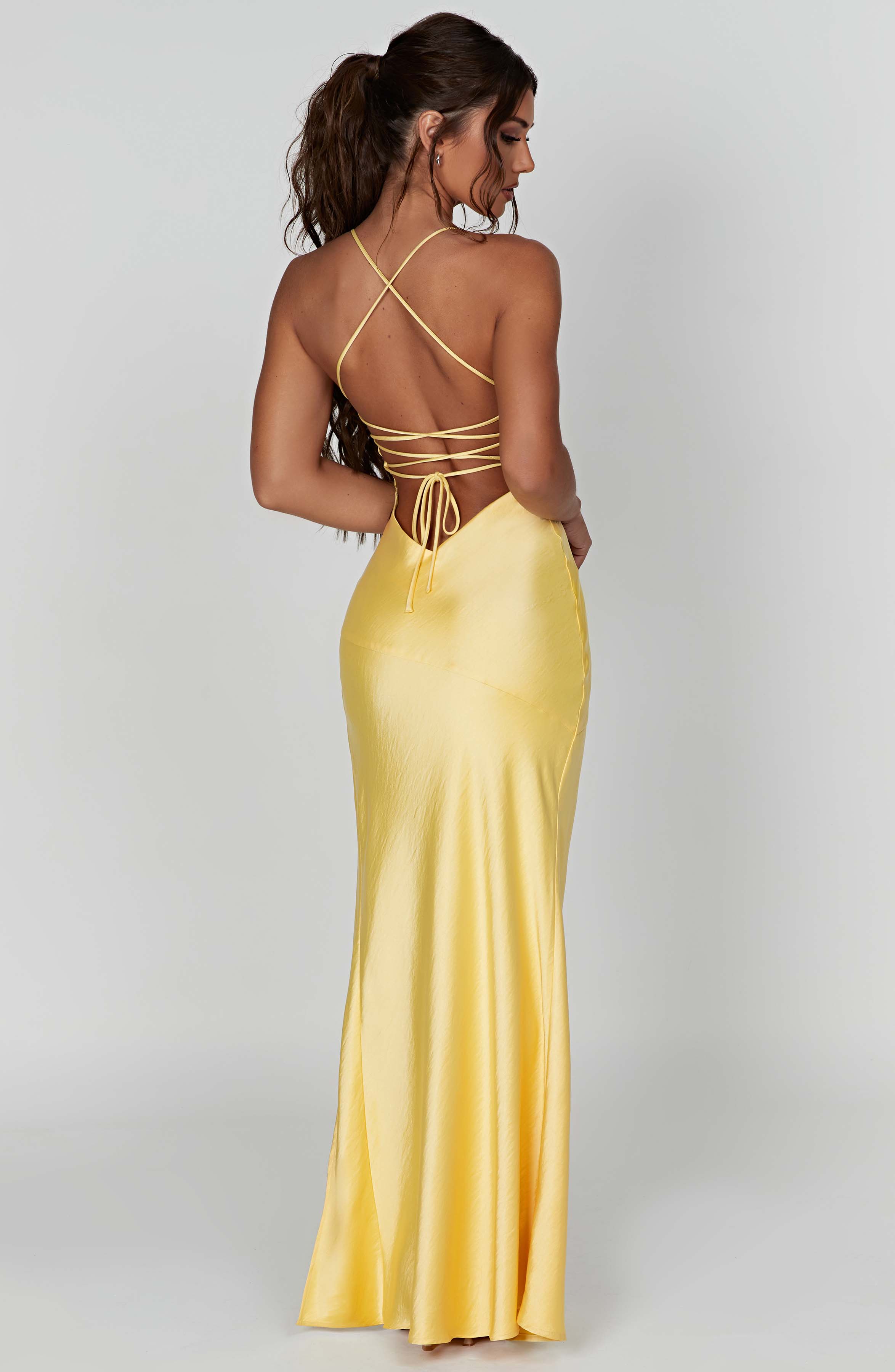 Alexander Saint Maxi Dress