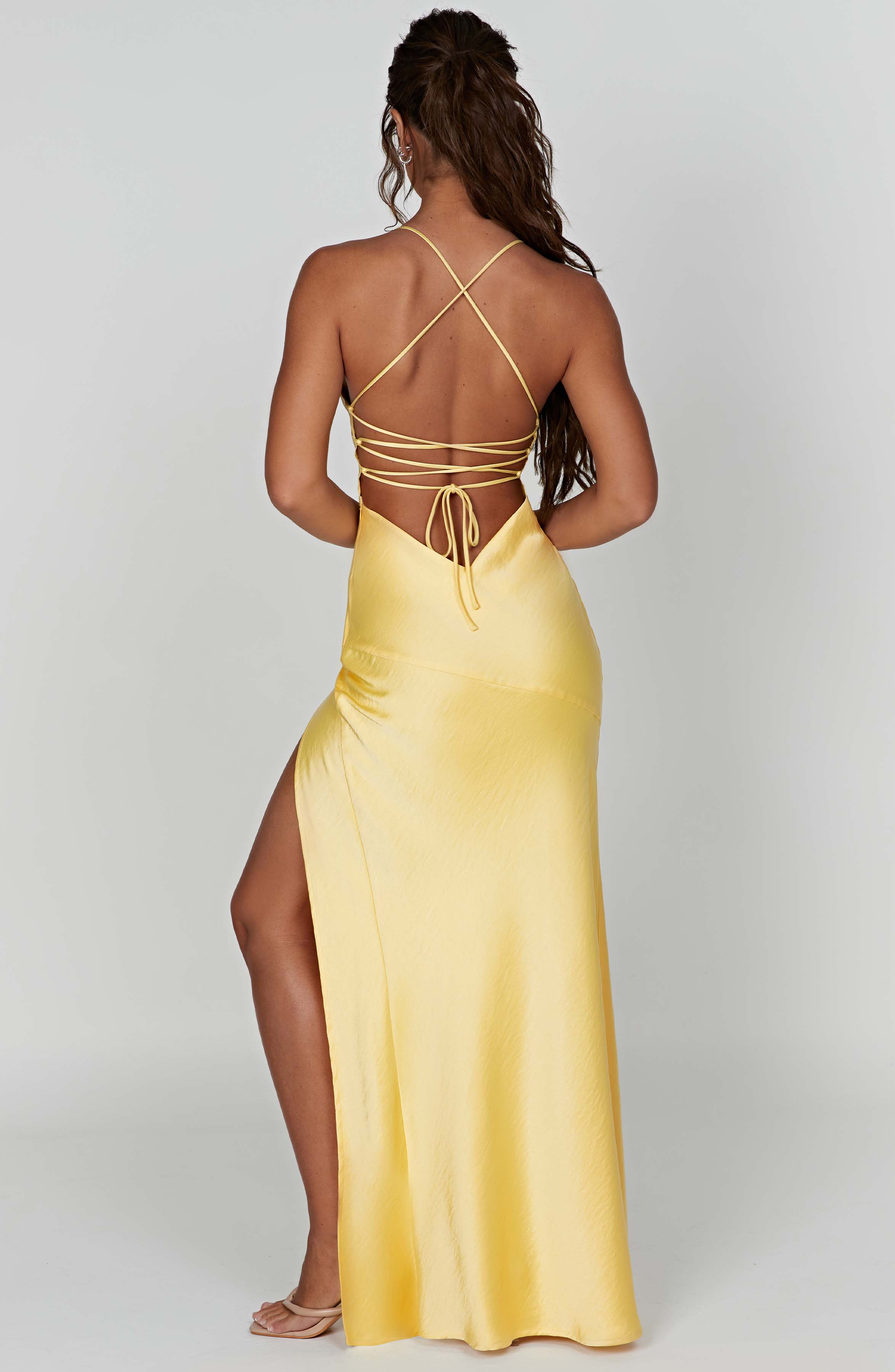 Alexander Saint Maxi Dress